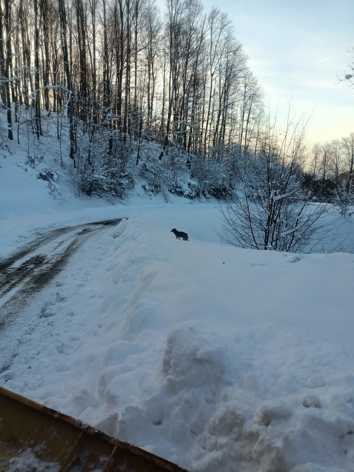 55E9Dfb9 E4Ff 4522 B46C D6716Ea27E6D