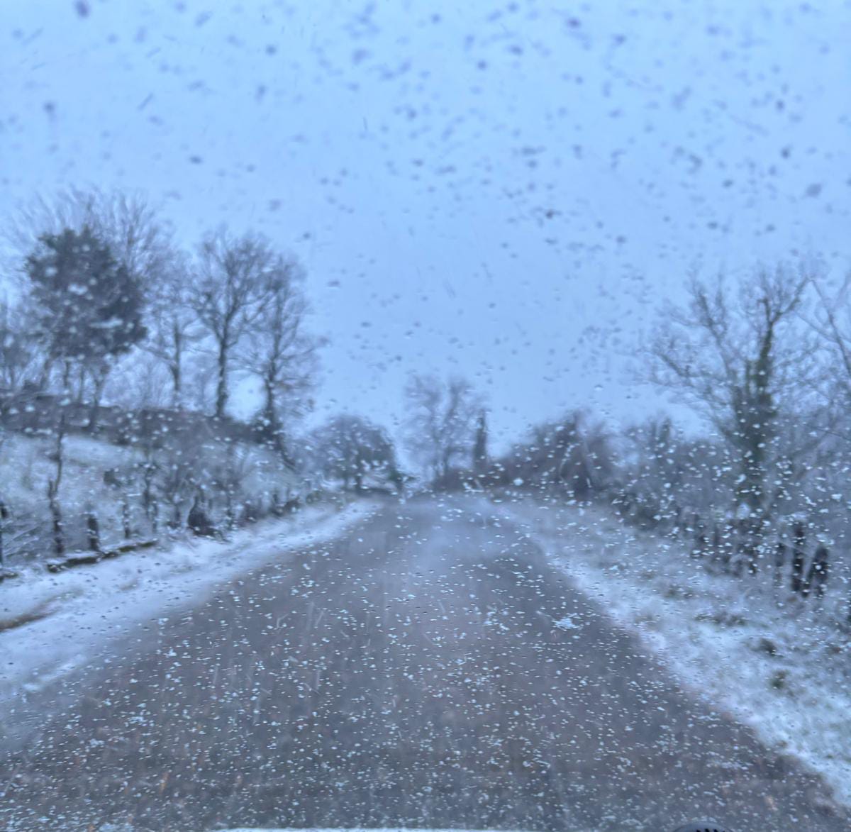 6Df52Bc5 Fa93 43Ab Ad69 5E8E95B12Bae