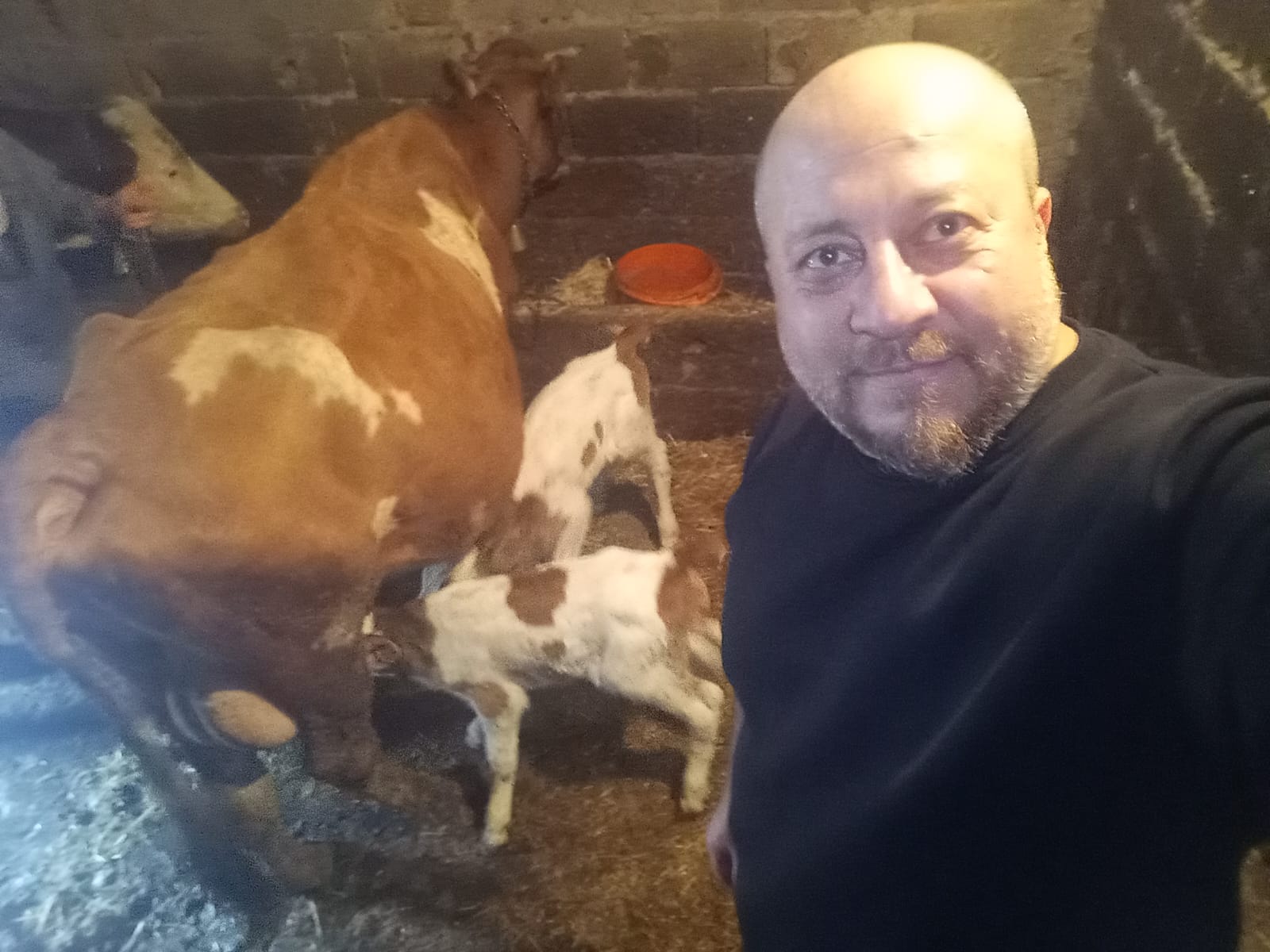 8021F93B 18B0 45F0 8Fc3 6042C0370D60