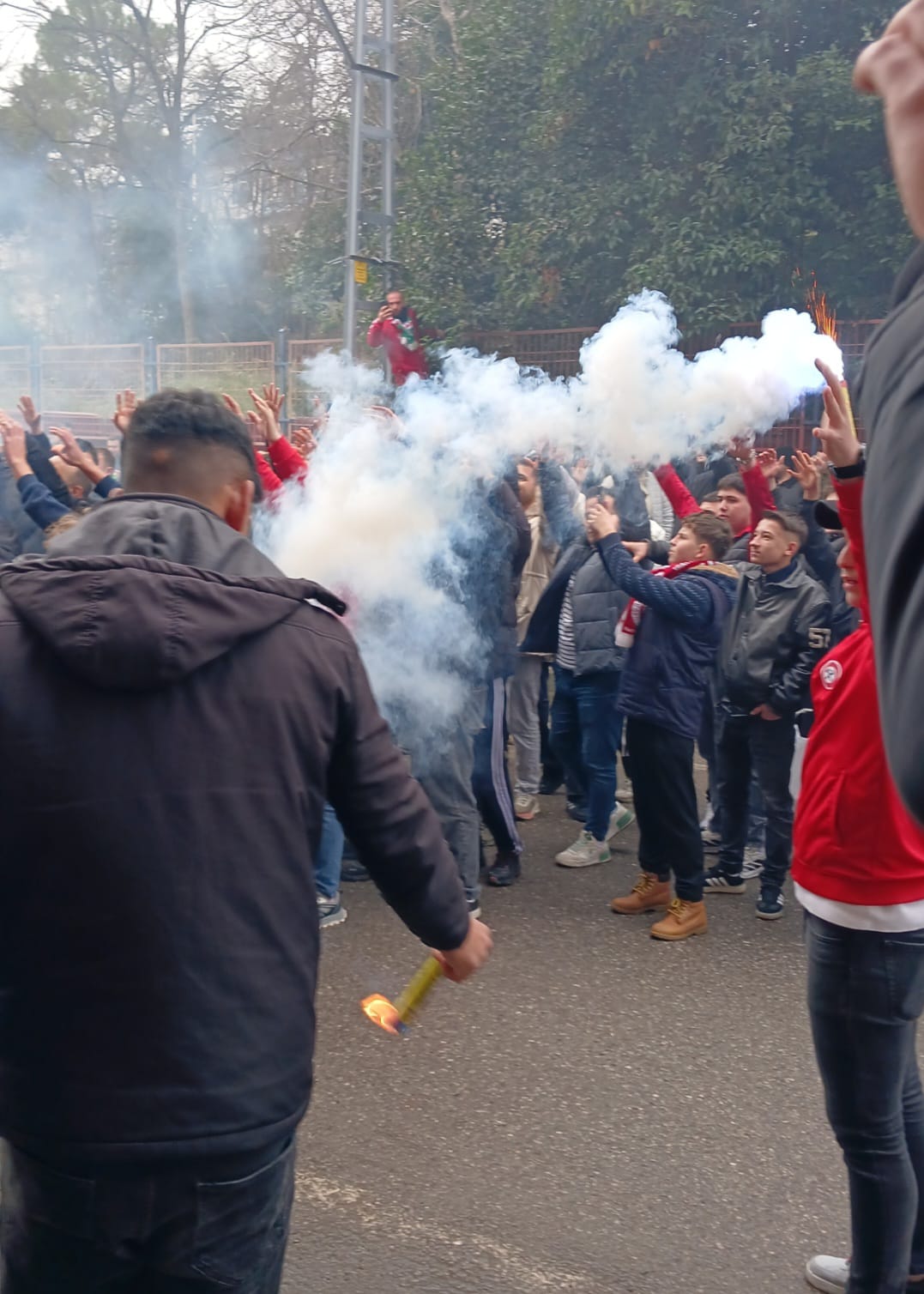 9Df2Ead2 F24B 4A8D 99Bc 2E6B8Db78584