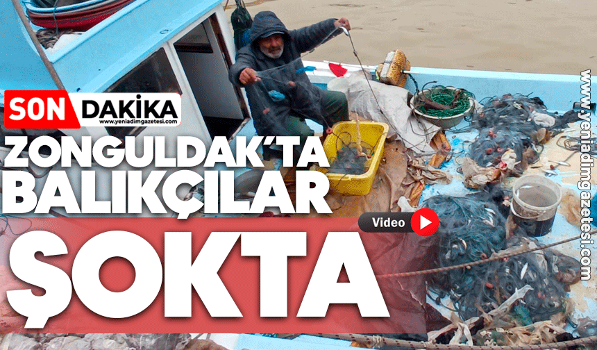 Zonguldak'ta balıkçılar Şok'ta