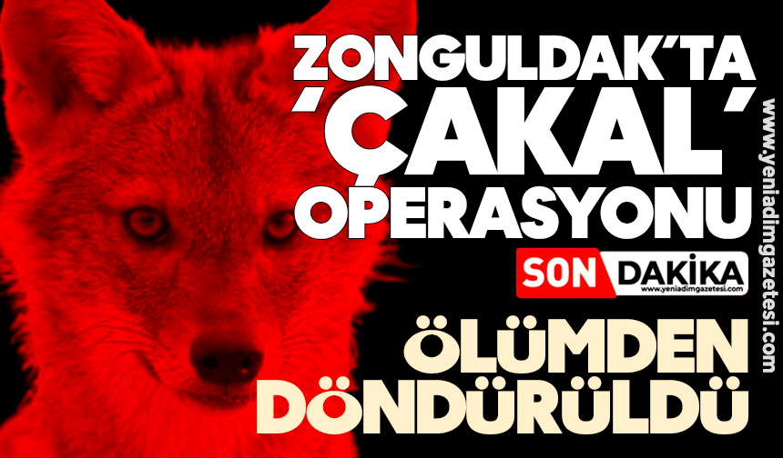 Zonguldak’ta ‘çakal’ operasyonu: Ölümden döndürdü