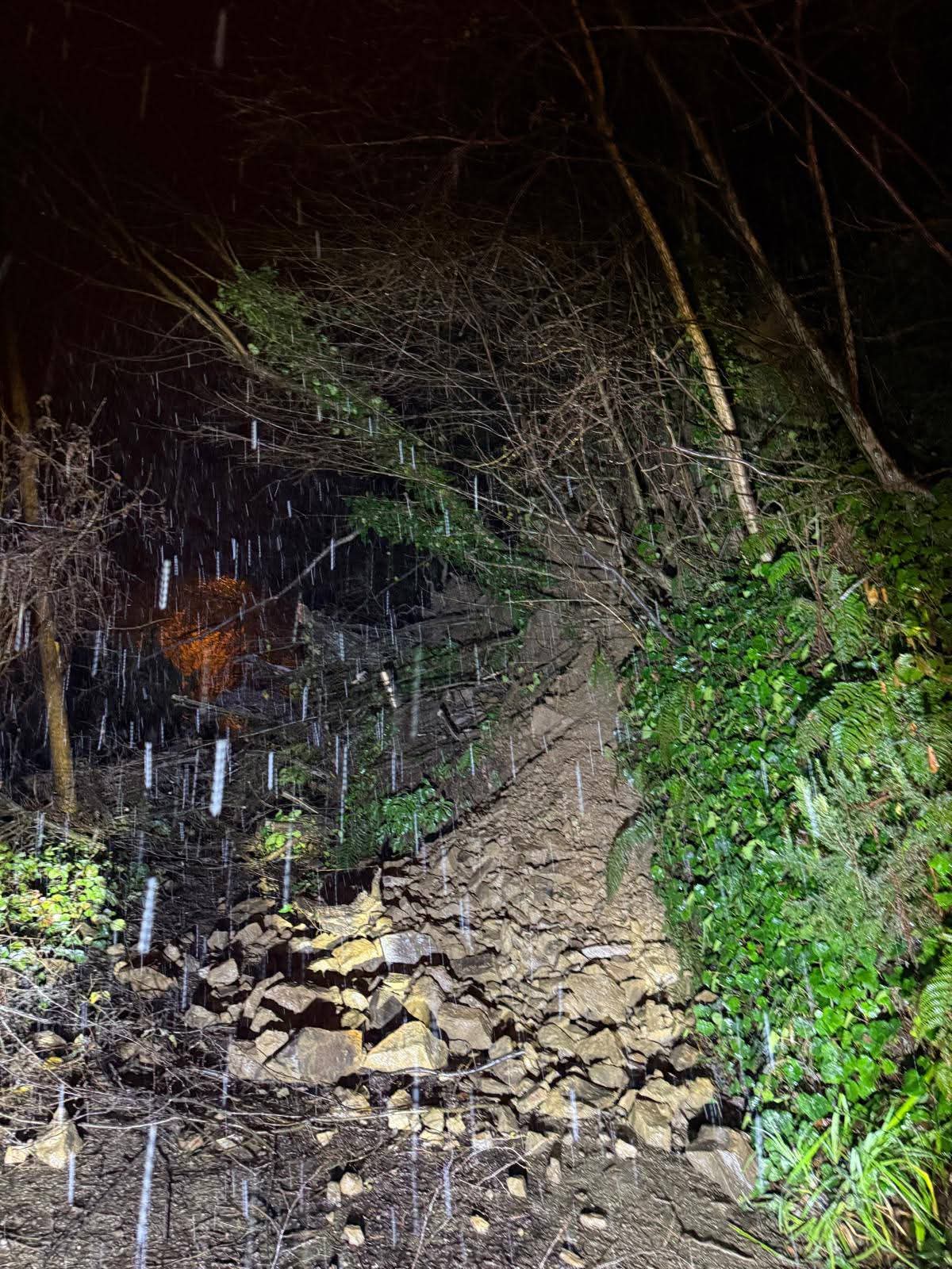 E1443Ead C7Bd 4556 A4B8 Fe9D60Dd68D2