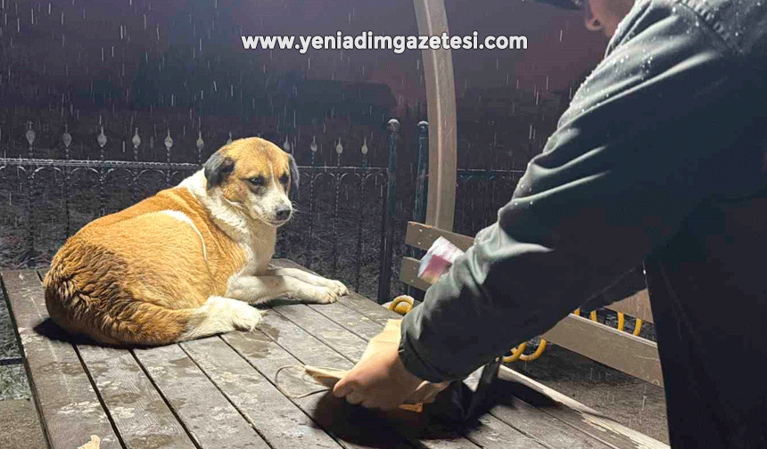 Gazetecilerden duyarlı davranış