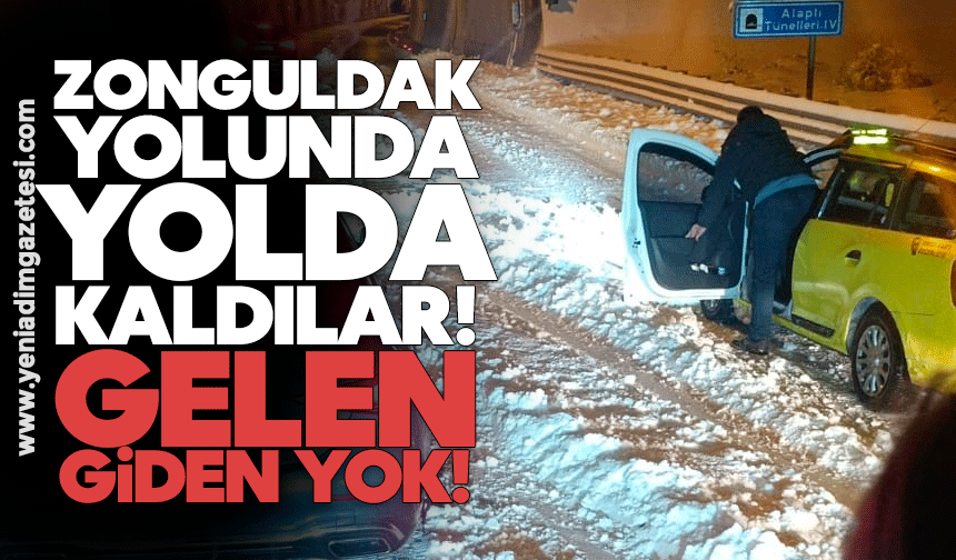 Zonguldak yolunda, yolda kaldılar: Gelen giden yok!