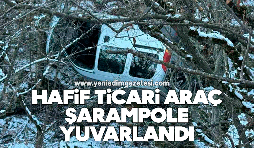 Hafif ticari araç şarampole yuvarlandı