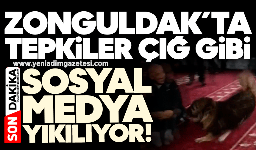 Zonguldak’ta ‘camiye giren köpek’ olayına tepkiler çığ gibi: Sosyal medya yıkılıyor!