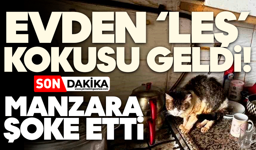 Evden 'leş' kokusu geldi: Manzara şoke etti