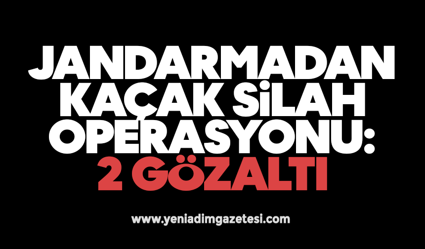 Jandarmadan kaçak silah operasyonu: 2 gözaltı