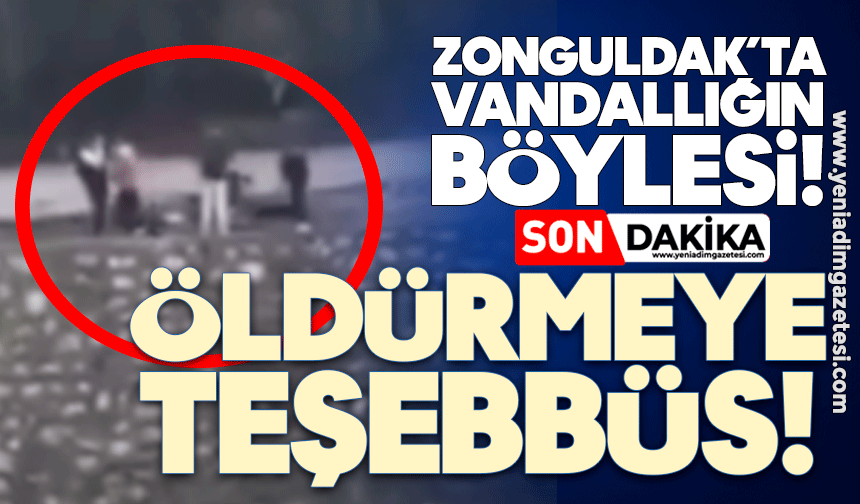 Zonguldak’ta ‘vandallığın’ böylesi: Öldürmeye teşebbüs