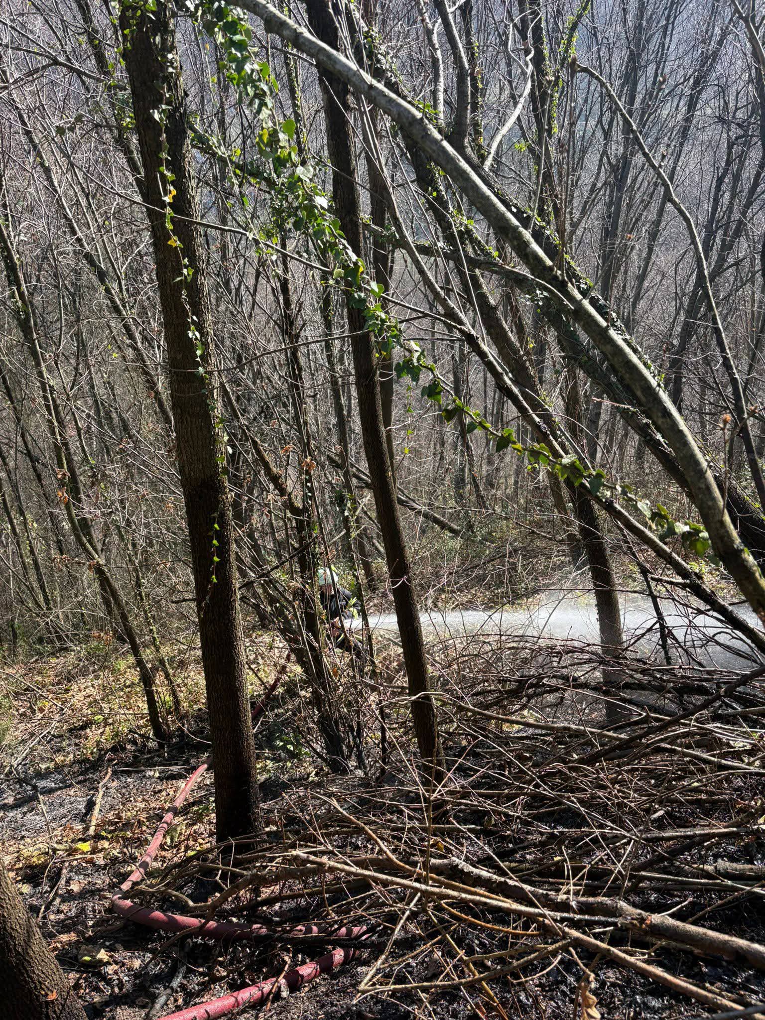 0F82055B 5Eec 4A68 972C Eeea8Ad6Ad14