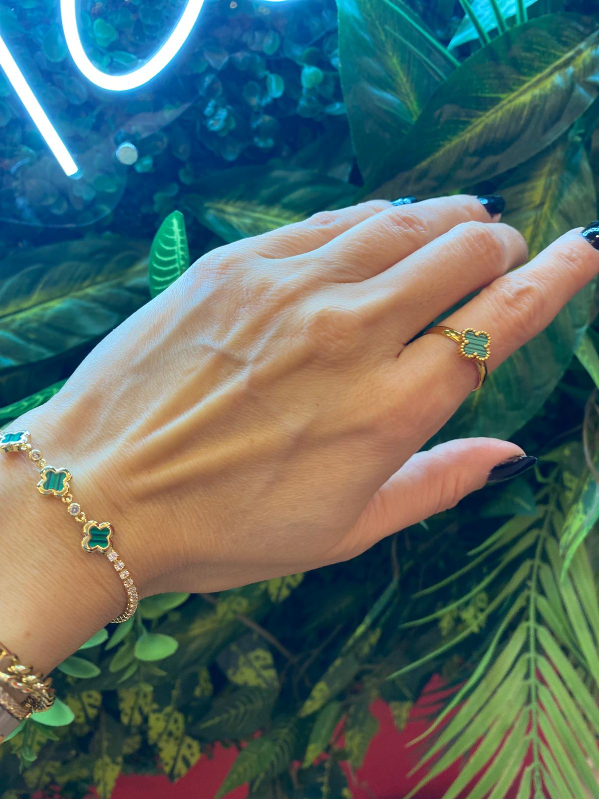 8Bcb121A 2E66 4D2E 8208 8Bc2Dfee37Bb