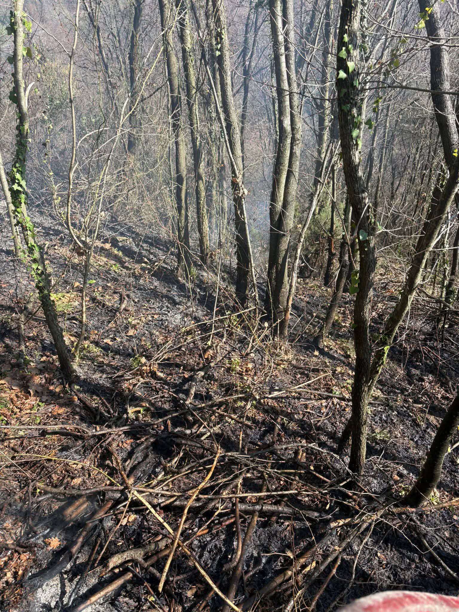 Be1Df840 D475 47D5 B7Bc 99290D53Edc0