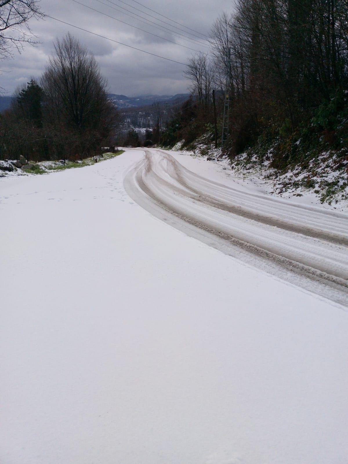 Ecf4A217 8A9B 40Ca 99Df 267131B7Afe0