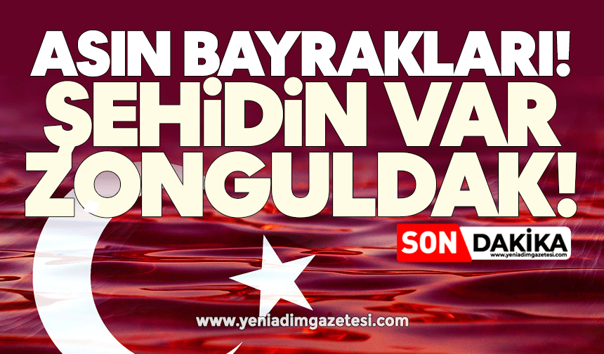 Asın bayrakları! Şehidin var Zonguldak!