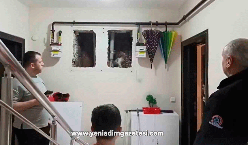 Küçük Yaser Kaan'ın dikkati kediyi kurtardı