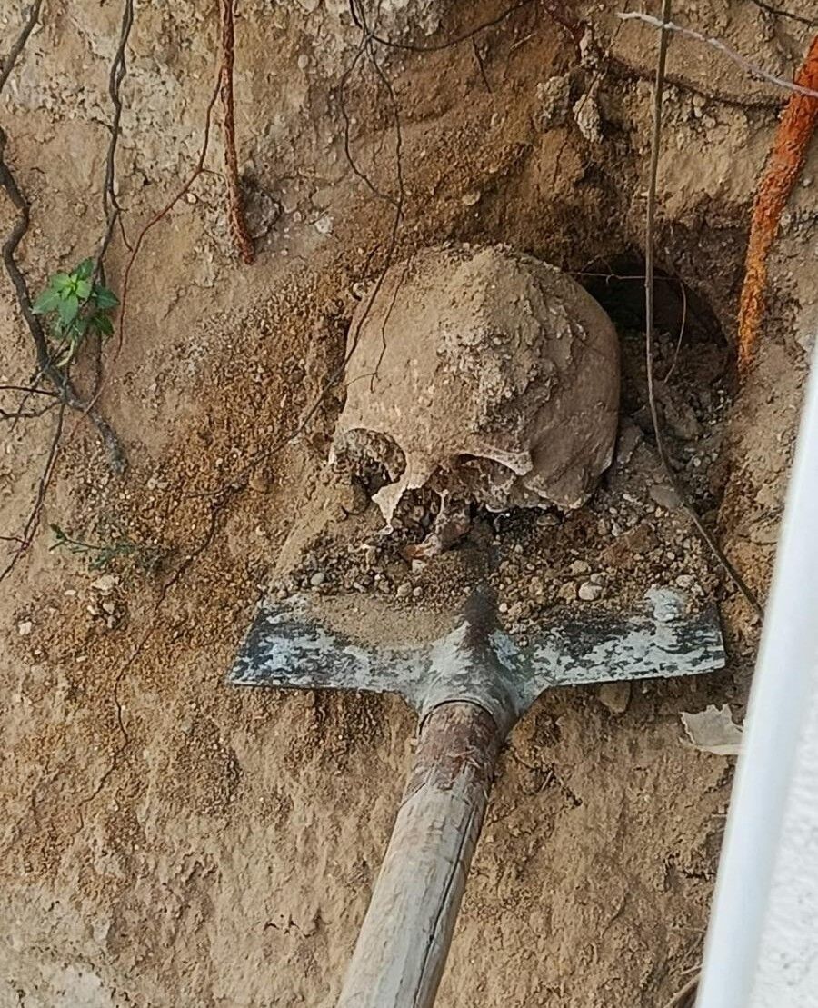 20260314 A W662217 01