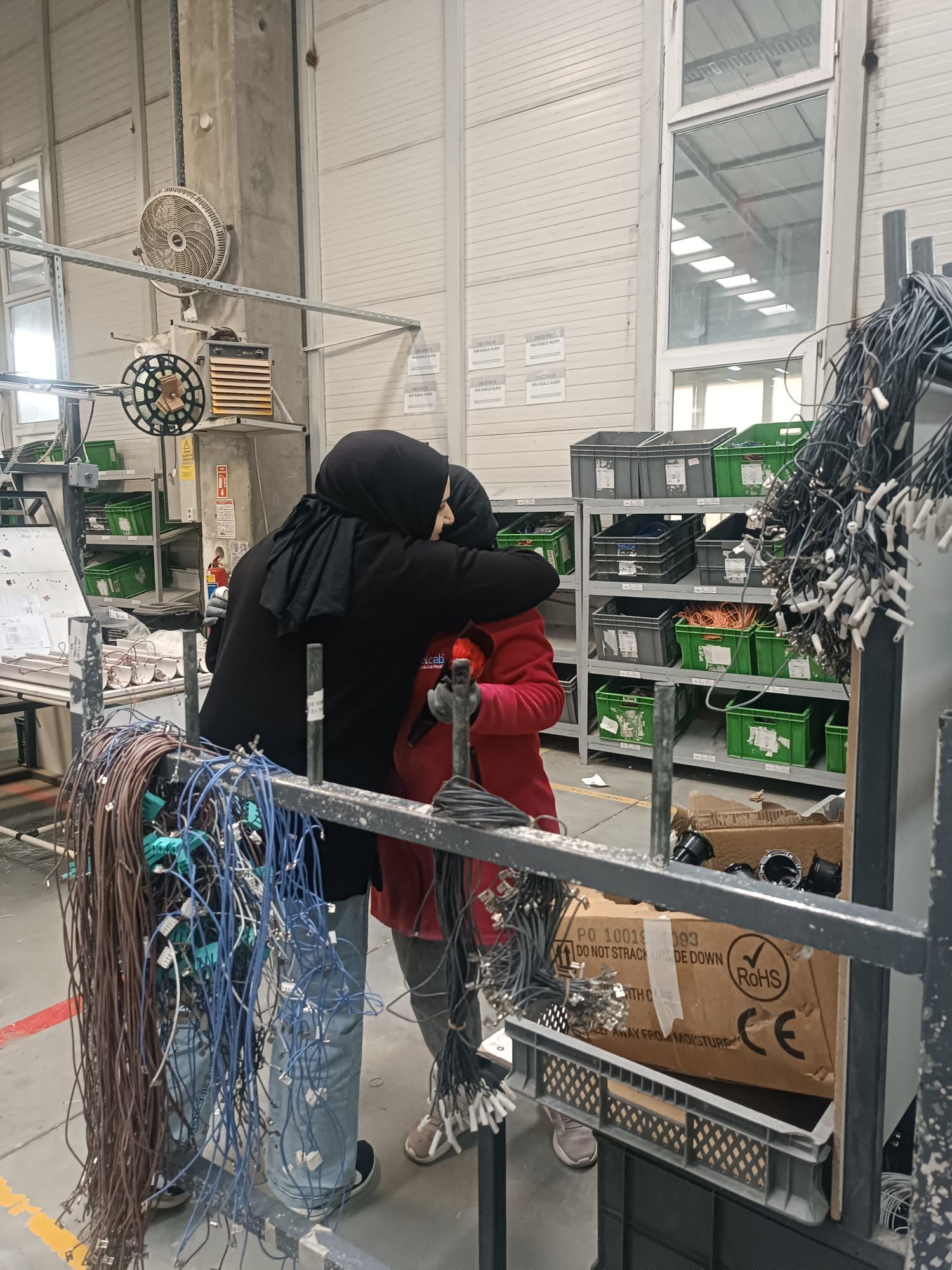 212533D3 87A6 4D80 Ba42 0Dc61Efd2C50