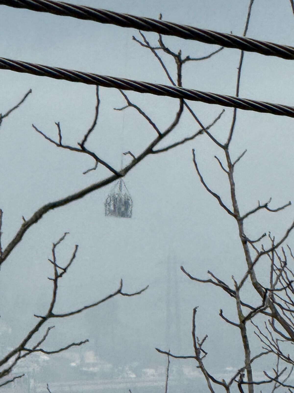 263A443D 32F4 4De4 B8Fa Ad8C928E72Df