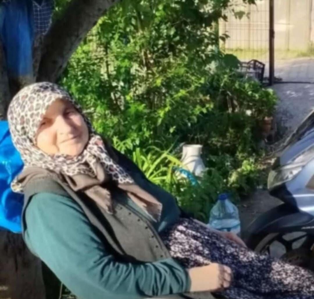 3E817034 B350 45Bf 83D3 E3Ffbca8D6Ac