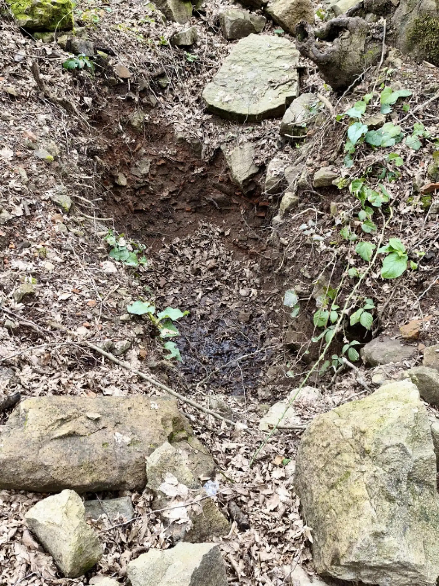 63172Bbb 43E0 4F64 8900 De361A5Fb0B4 1772885261 Lu Vbwr