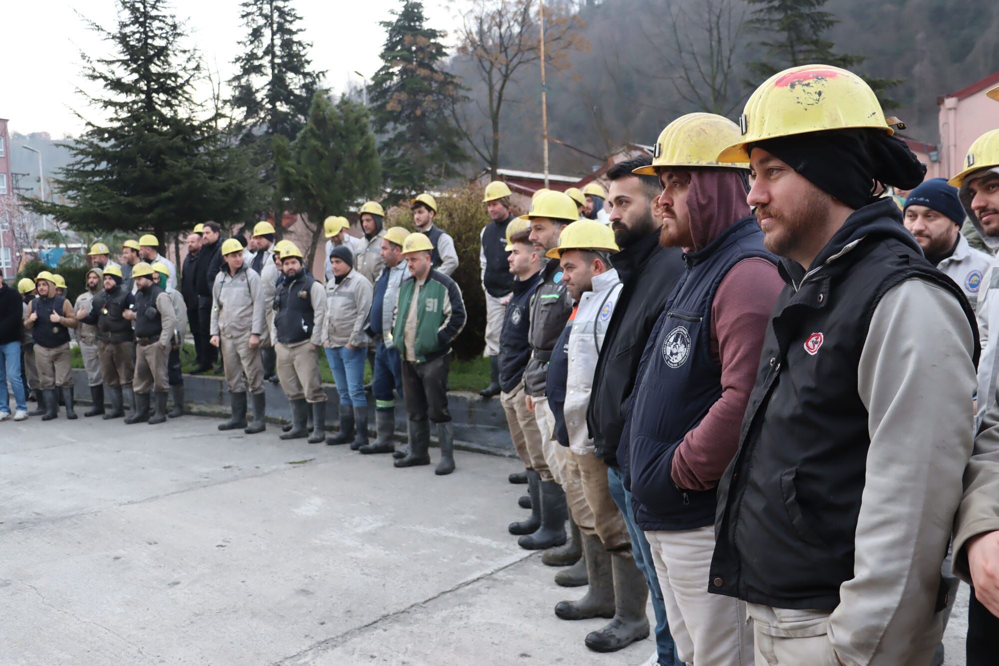 6Bc636B1 831A 4454 8A7E Cd92D2132Cc7