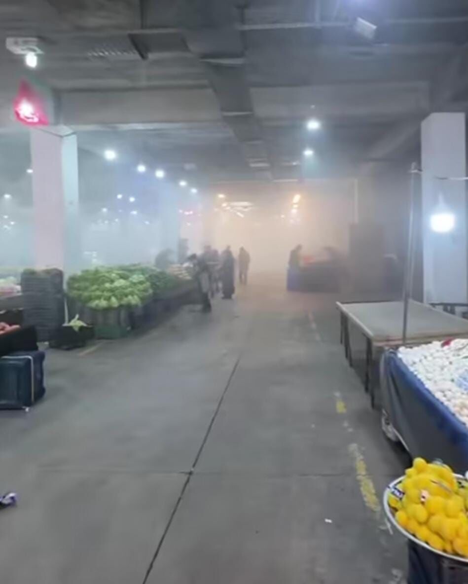 A9A81Fc9 20A3 4Aac 8914 C9Ea89C15A6A