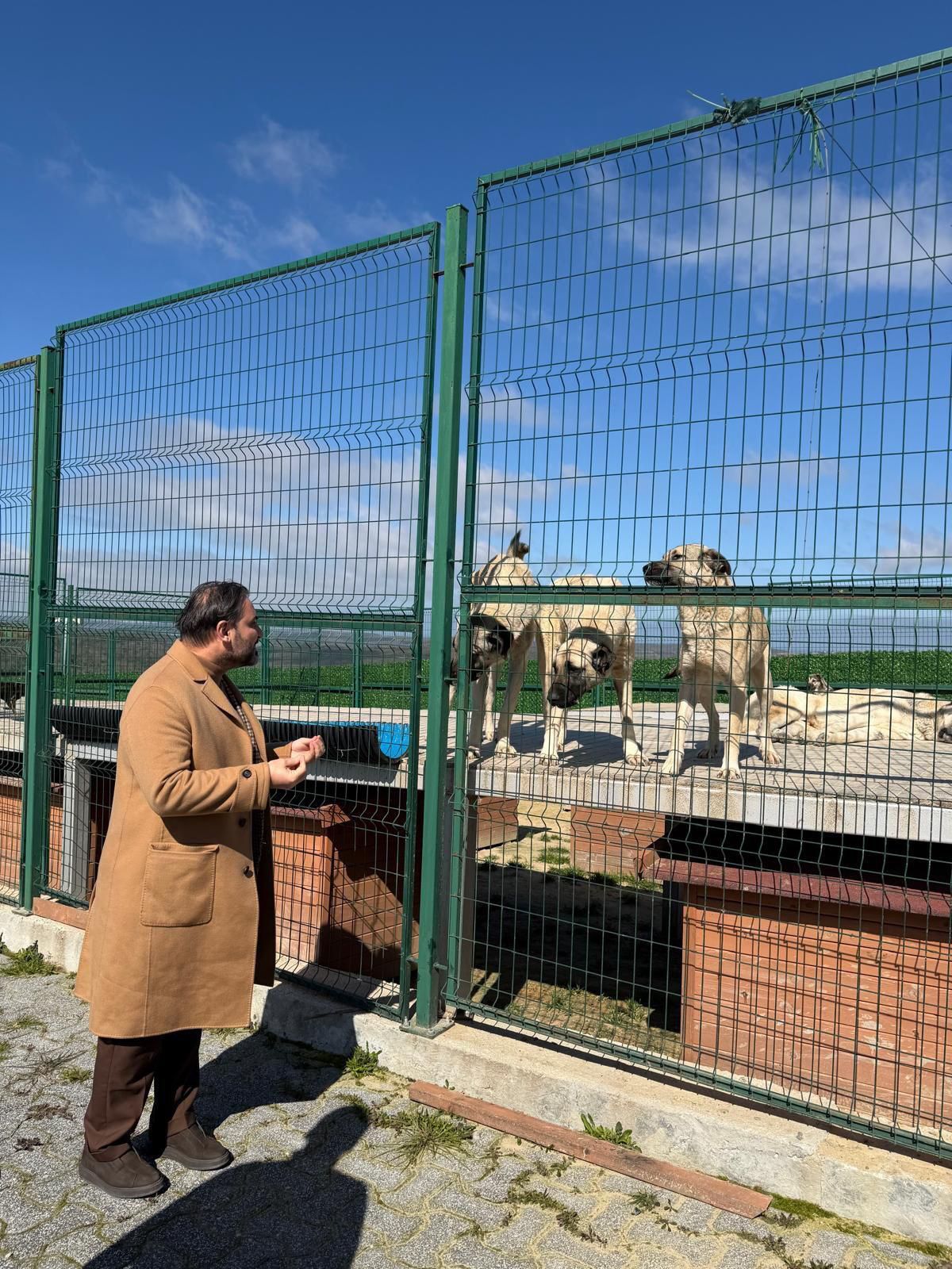 C90Ee718 81Da 47F1 Abe7 Db5Df90Af7Da