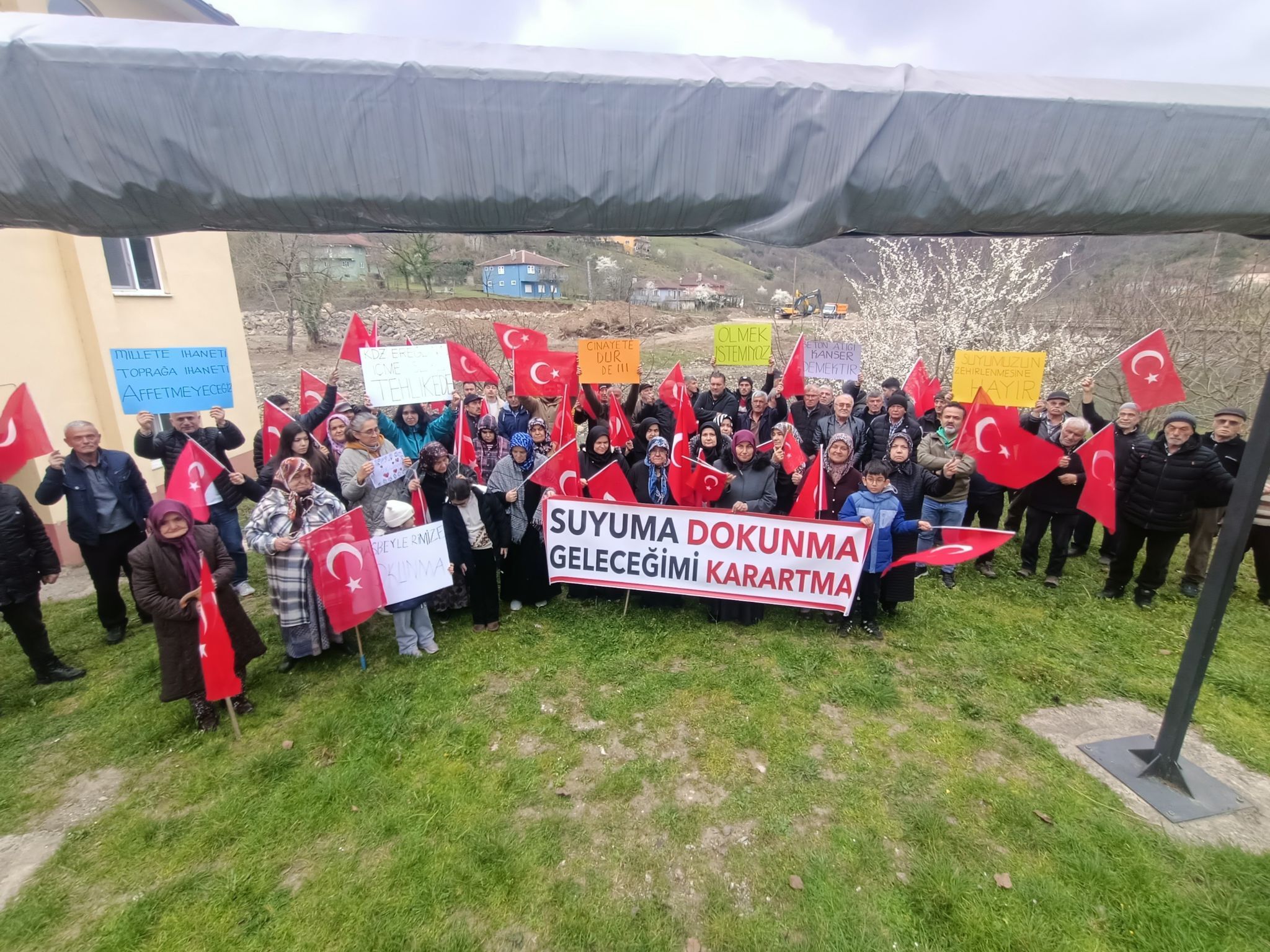 D1262B12 D9A3 4024 85B8 0A9Aee9Db042