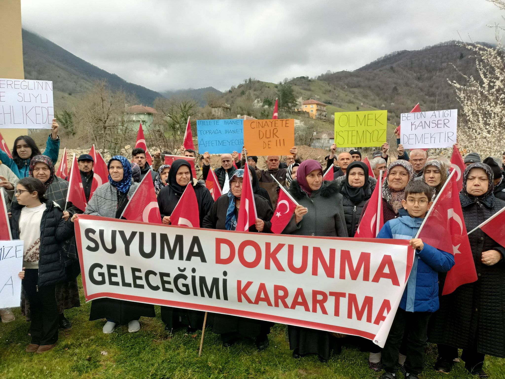 D5Ecb4B7 Cc30 42F0 924B Ddf3B43B7A55