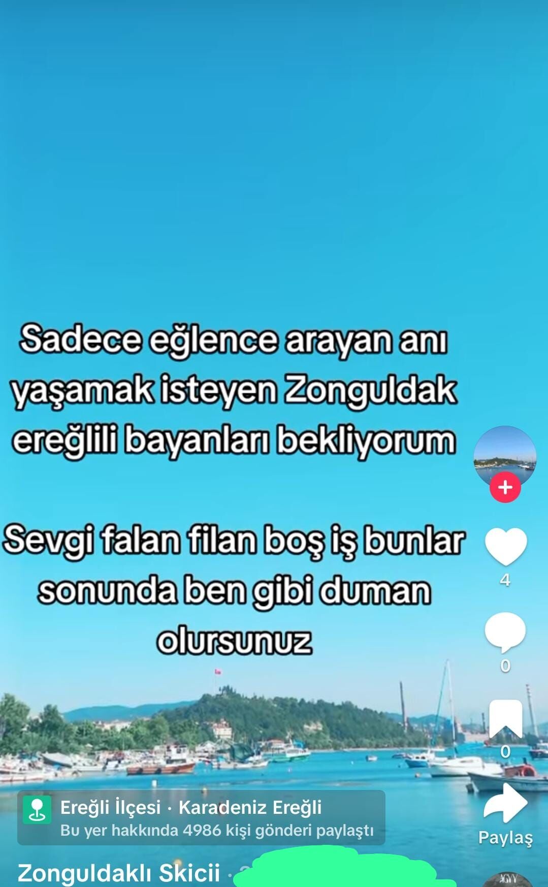 E915D449 6Cf2 454A 8431 Bc11Cde93786