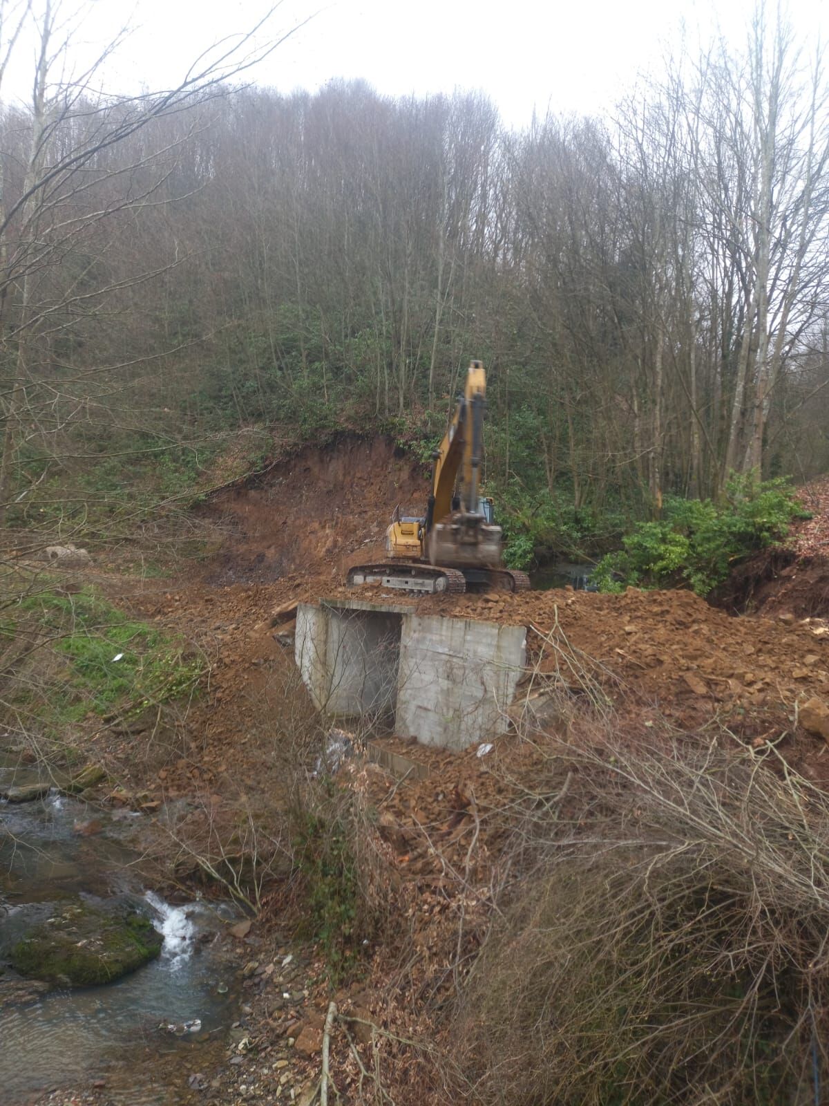 Fcee90A9 13F8 4Dd7 Acd0 3D8Acafcbc76