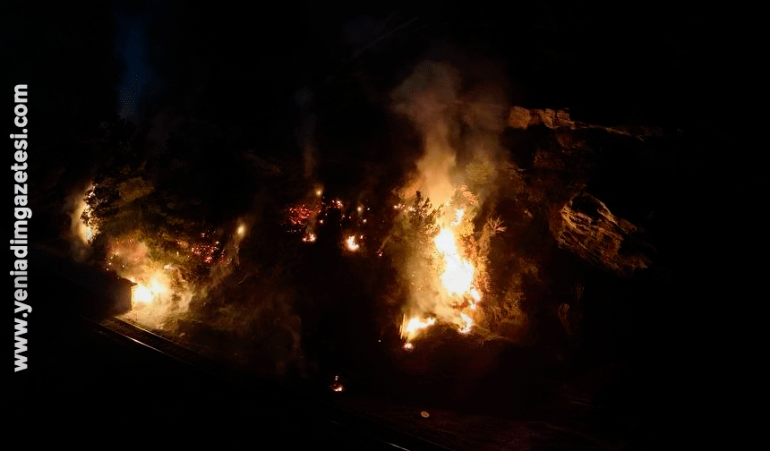 Karabük'te ormanlık alanda çıkan örtü yangını söndürüldü