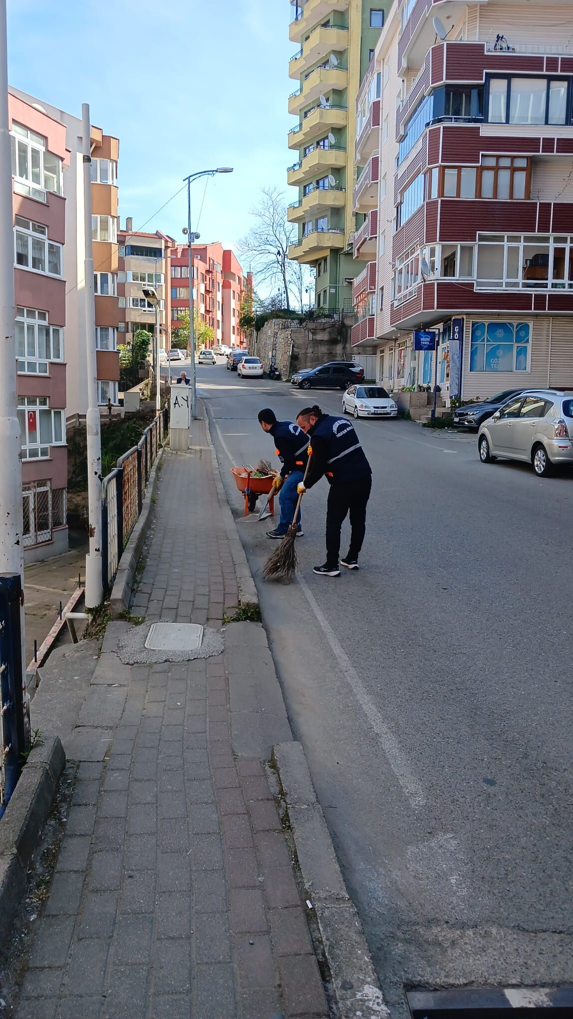 1C52C7C8 Cc03 4C80 B38B E145044E7D54