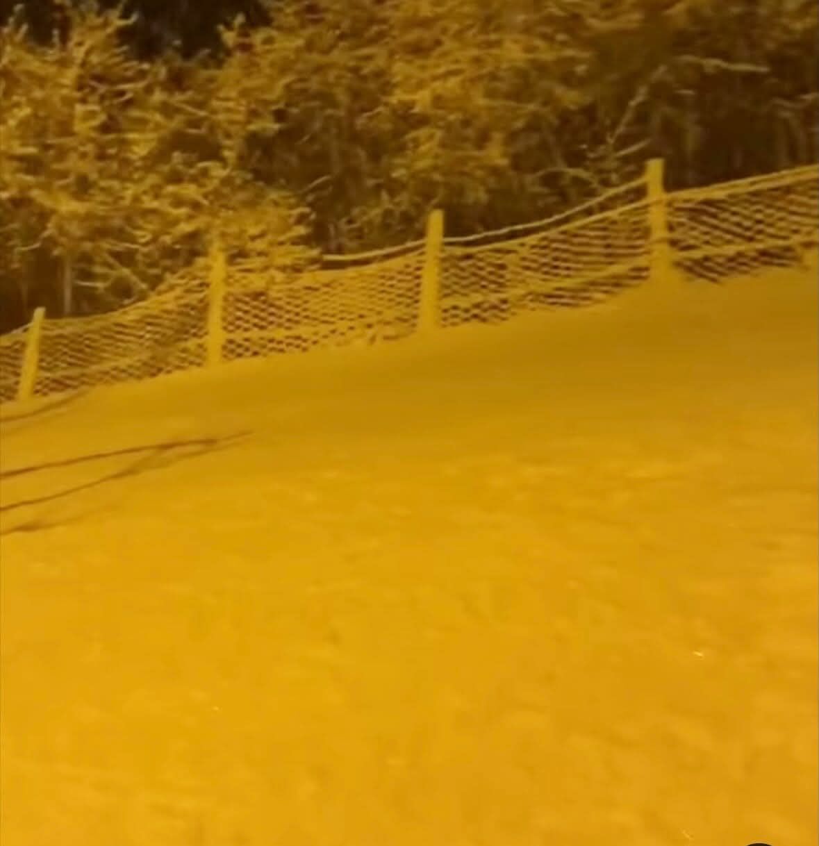 20F76Fa9 Bc91 4Ac9 8327 53310Cb51512