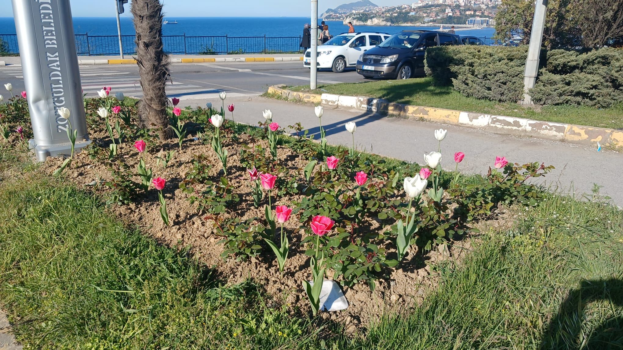 31Aed705 Acb9 4Aa1 A492 0596Dc2Fa8B1