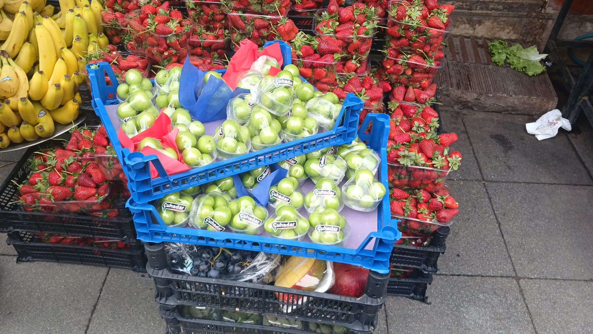 37Fcd261 D5Da 4A74 8B4A 32F4Dba2C20E