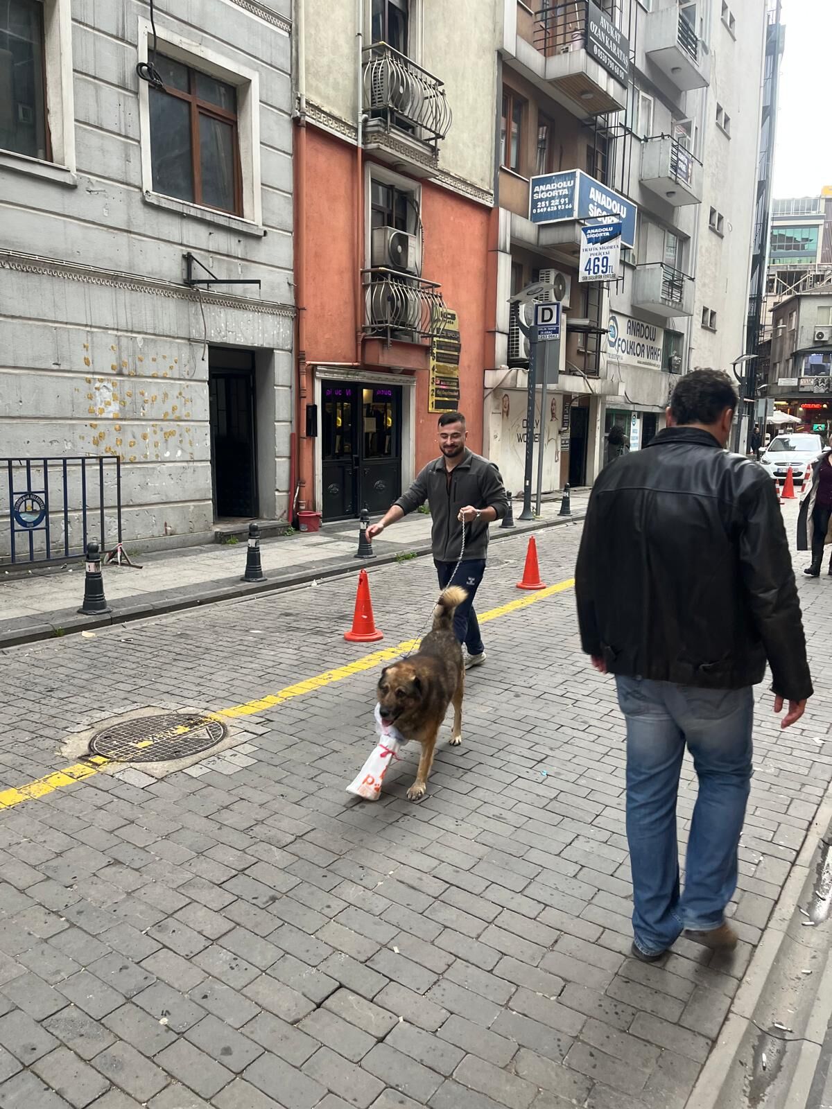 3F71C1E0 73A0 4Bed 965D 90F1B0Bfc3Ec