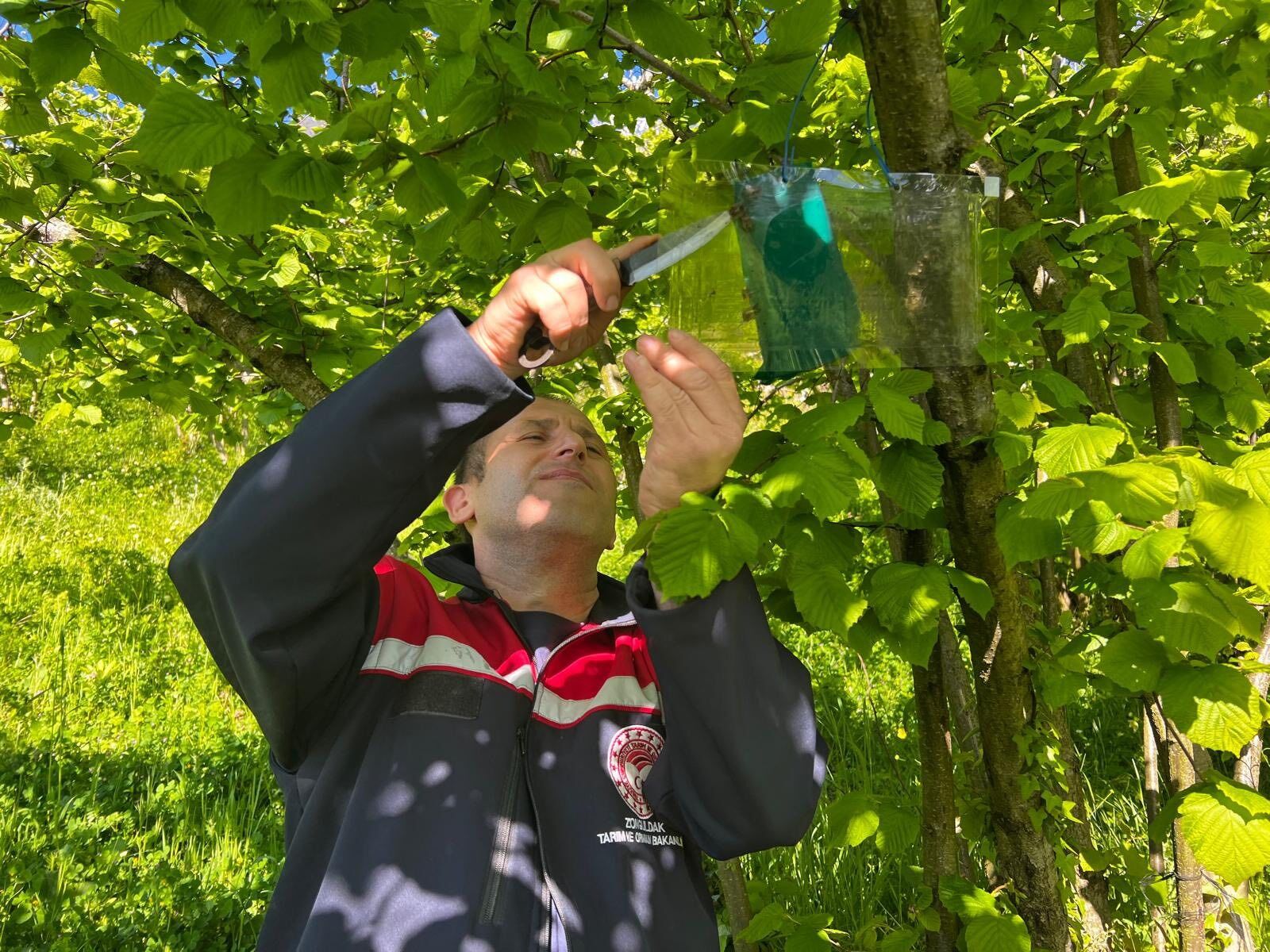 55D54258 99C0 4A94 Ba3B Eb9C384Bda41