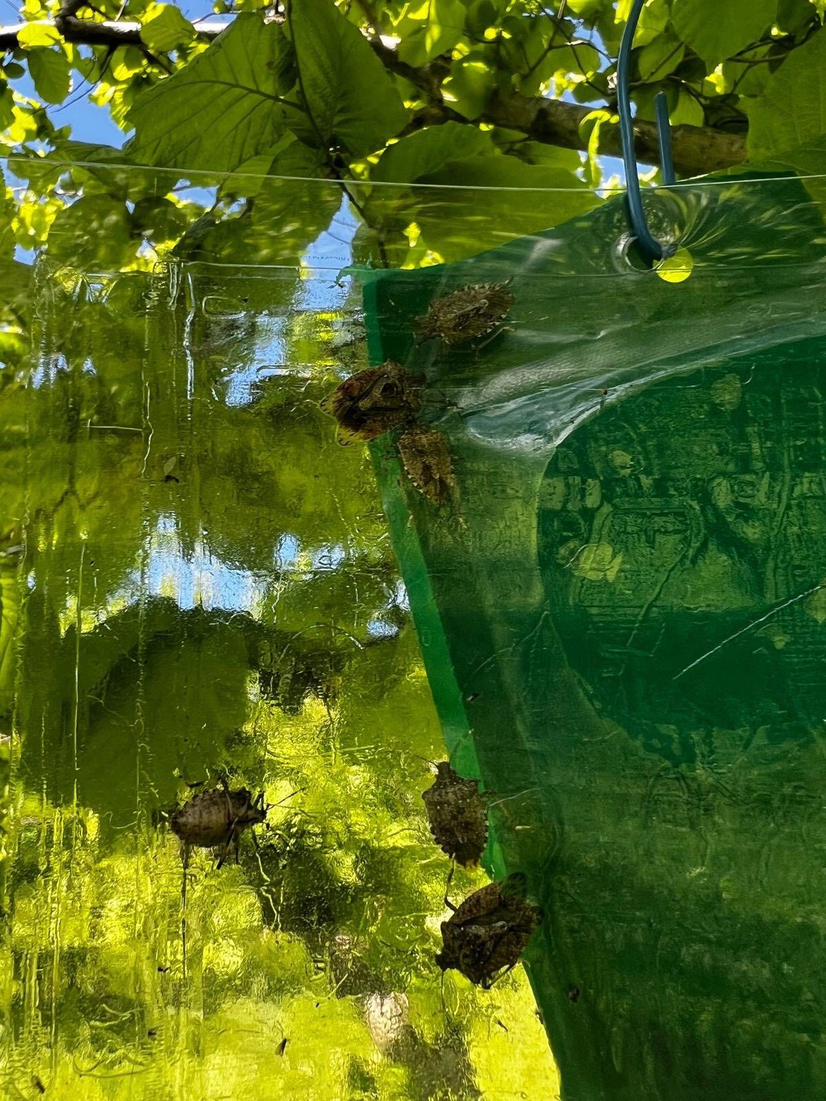 791Fb01E Dbb8 4E95 8A08 2858F69D62D9