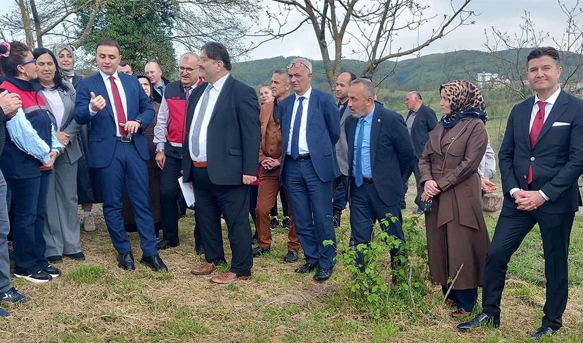 846F9424 Ddea 473F Bef6 D0F0Dd6Adeab