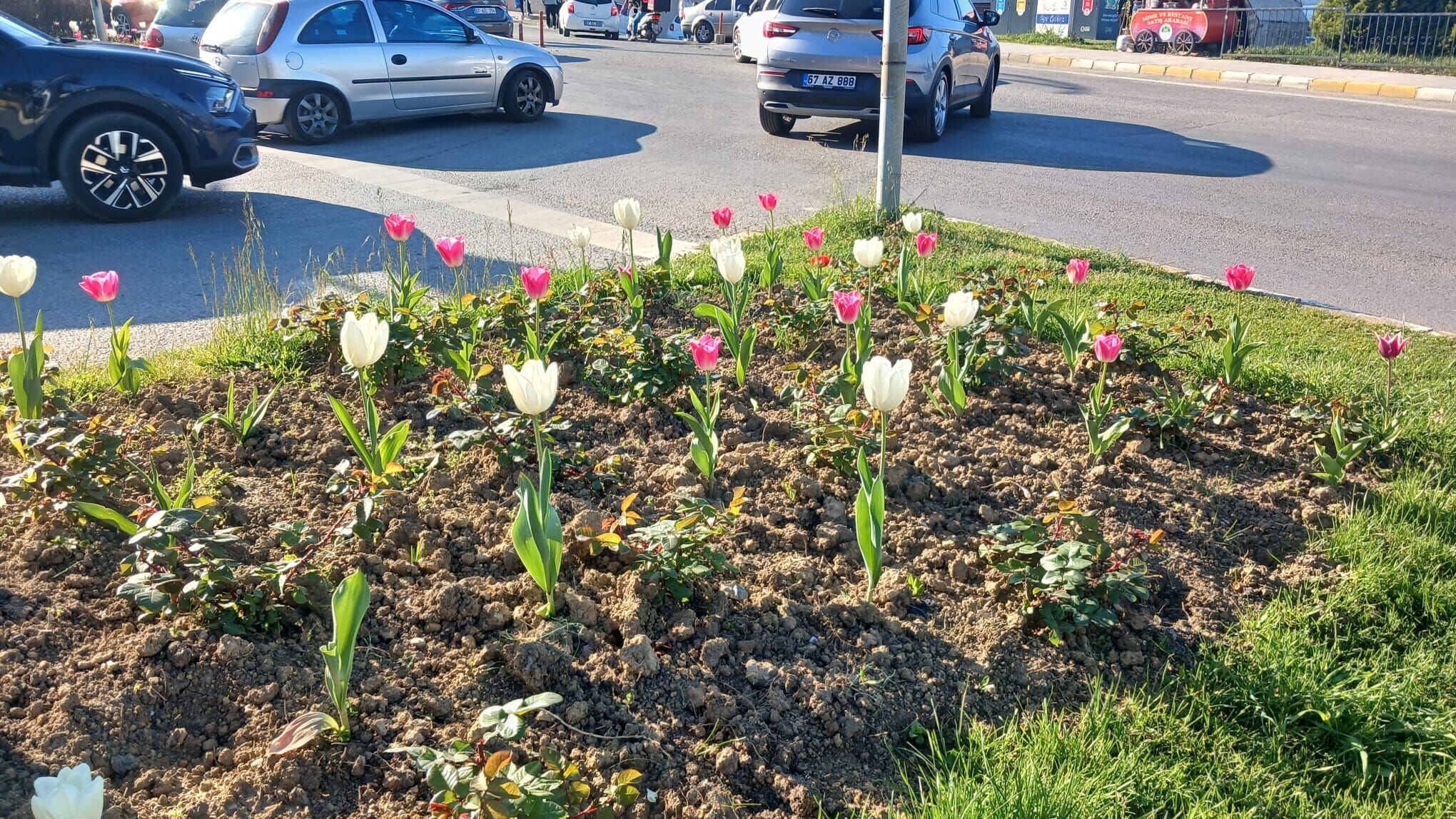 9A300515 Abe9 426C 9D46 6F056465Dcfa