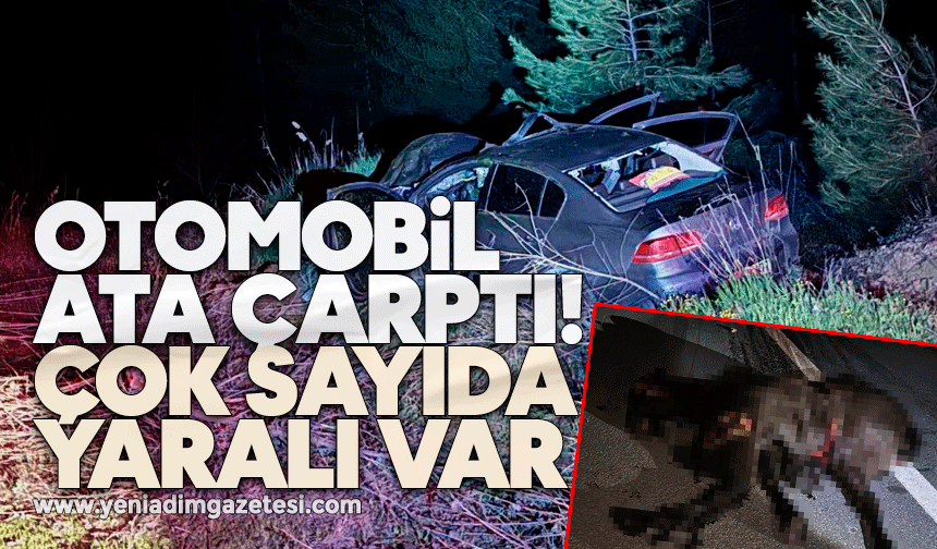 Otomobil ata çarptı! Çok sayıda yaralı var