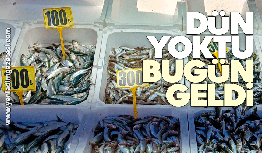 Dün yoktu bugün geldi