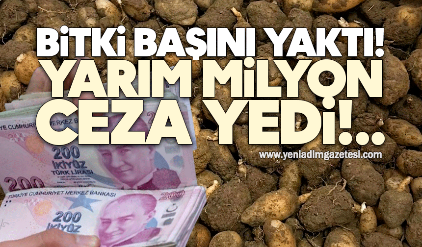 Bitki başını yaktı! Yarım milyon ceza yedi