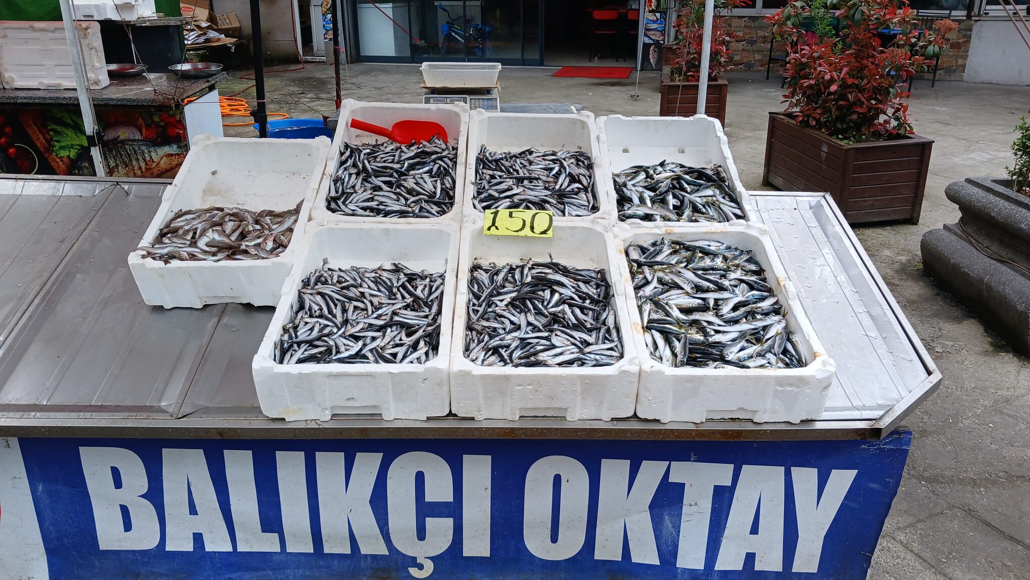 Cf436Ecc B1A3 44C8 9897 C24809535A0E