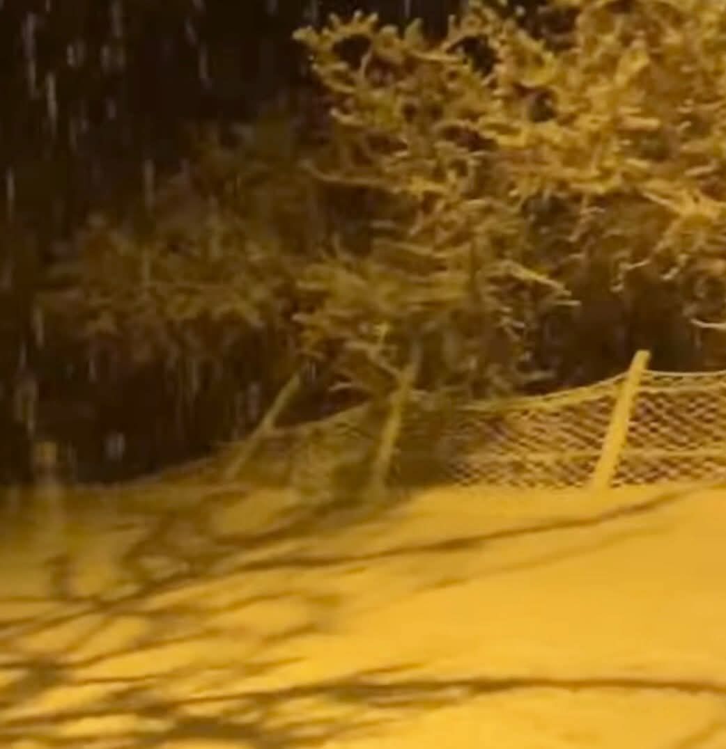 D5D82494 Be18 4B3E 8A5E 9F430A8E311F