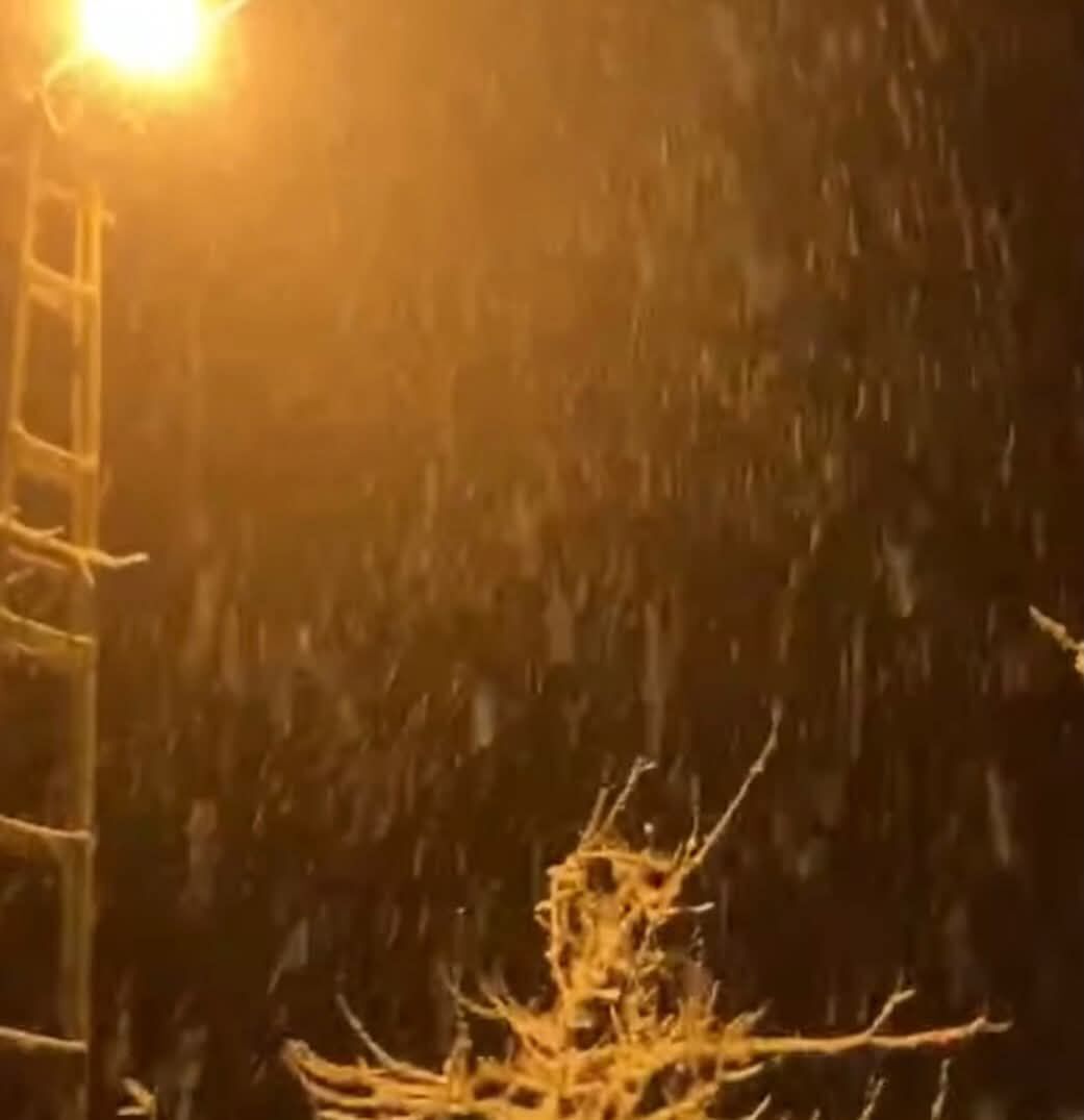 De66C93E 1447 43Cc Af72 943Db7Ee40D2