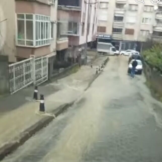 De9Da8E5 8079 4F76 965E 07Cdff4697Df