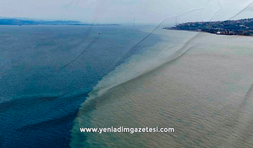 Derenin taşıdığı çamur denizin rengini değiştirdi